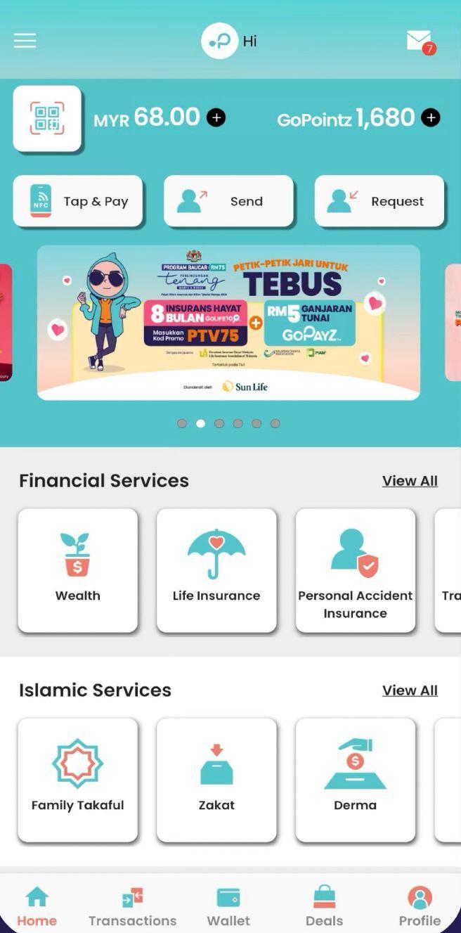 GoPayz app screen from the supplied portfolio